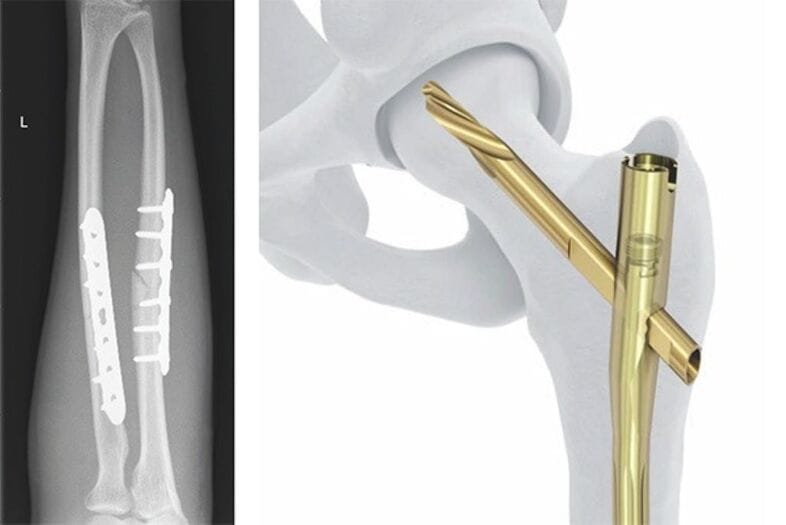 WhatsApp Image 2024 01 11 at 15.53.58 1ee993f9